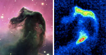 Views of Hosehead nebula in visible and infrared