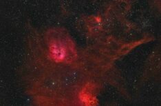 The Flaming Star and Tadpoles Nebula  
