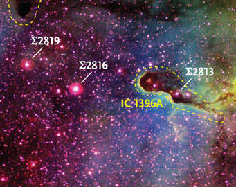 IC 1396A, the Elephant Trunk Nebula