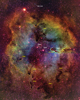 IC 1396 in Cepheus