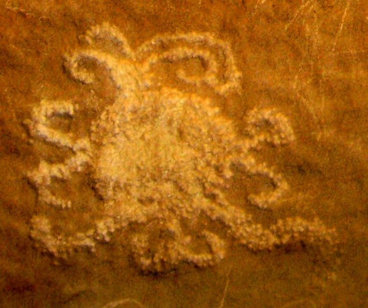 a yellow, round petroglyph with tentacle like arms coming off of it against an brown background