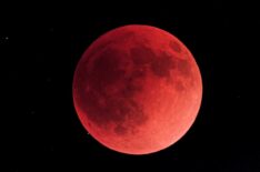 Occultation During the 2022 Lunar Eclipse  