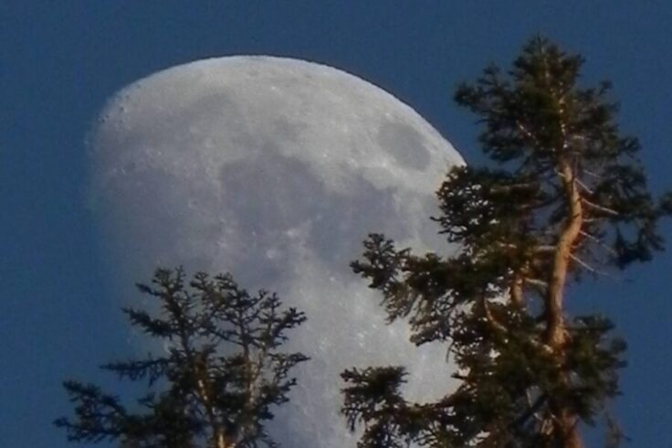 Moon over Sequoia National Park