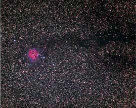 Cocoon Nebula.