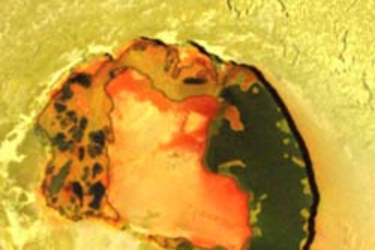 Volcanic crater on Io