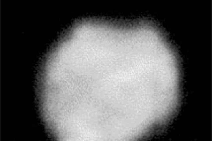Juno's irrgular shape