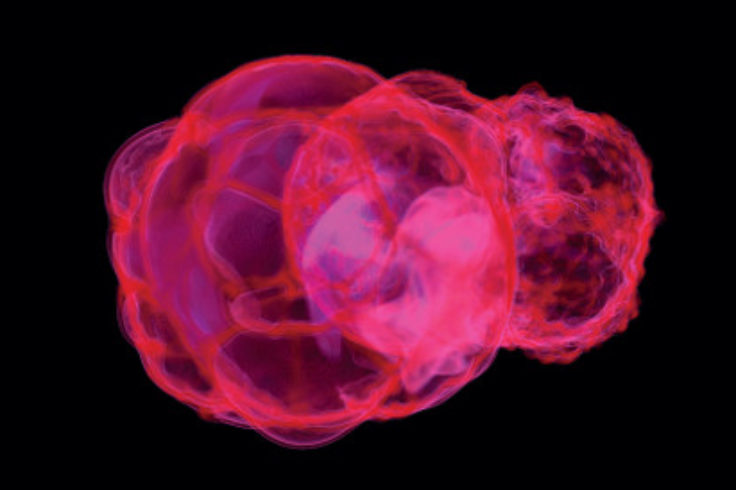 Supernovae Simulations Carve Local Bubble