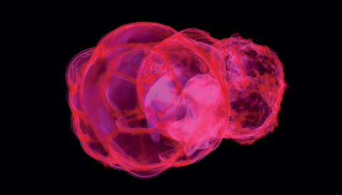 Supernovae Simulations Carve Local Bubble