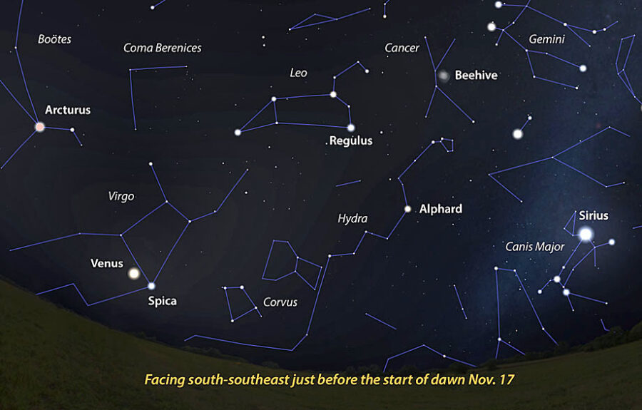 Sky sights in direction of Leonid radiant