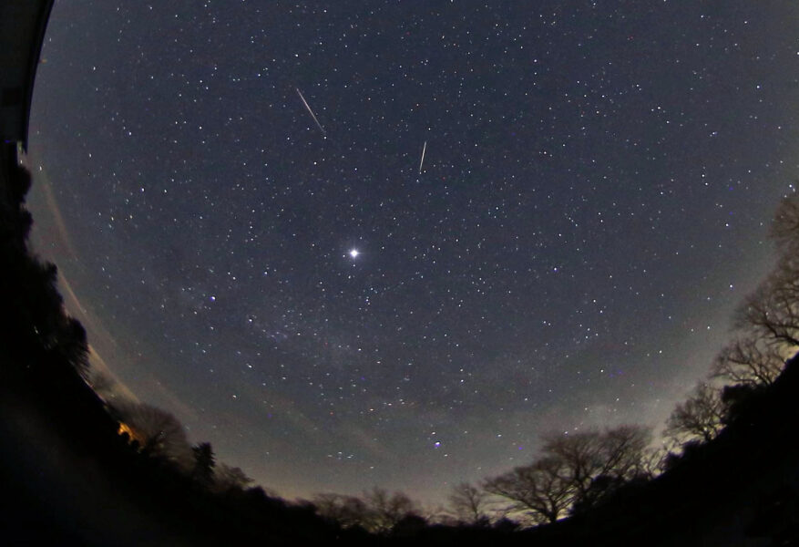Lyrid meteors fisheye view