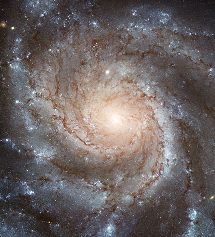 M101