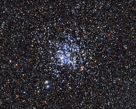 Picture of M11, the Wild Duck Cluster
