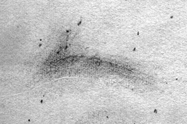 Messier 17 Sketch Howard Banich