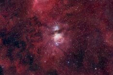 Orion in a sea of Hydrogen  