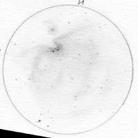 Sue French traced the nebula's winglike appendages and other faint features while viewing through a high-quality 4-inch refractor.