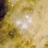 Trapezium stars in the Orion nebula