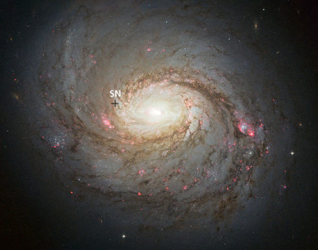 Image of M77 with location of supernova marked