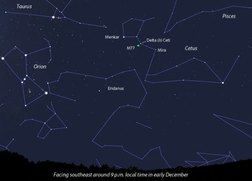 Supernova Discovered in the Bright Galaxy M77 - Sky & Telescope - Sky ...