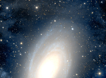 Messier 81's halo