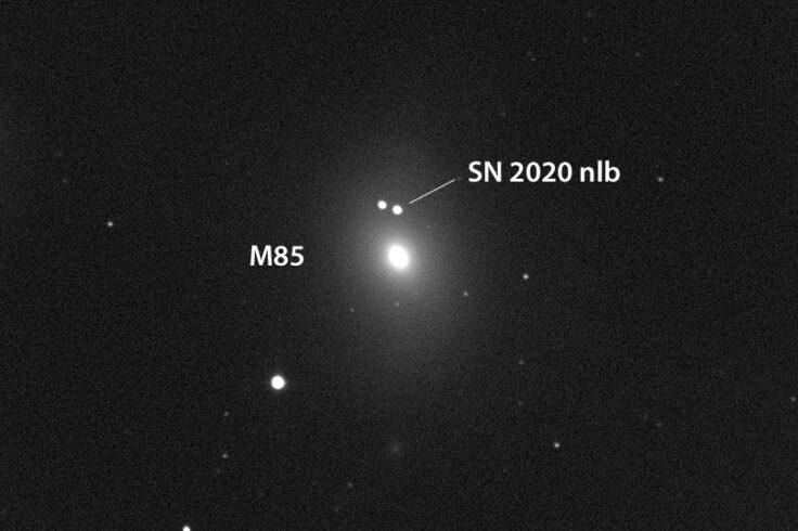 M85 supernova