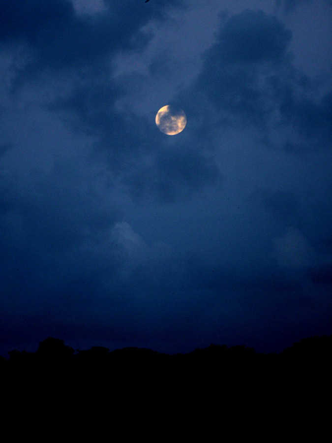 SUPER BLUE MOON IN KENYA Sky & Telescope Sky & Telescope