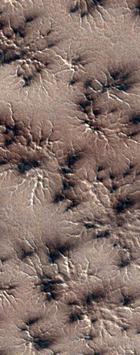 Spider patterns on Mars