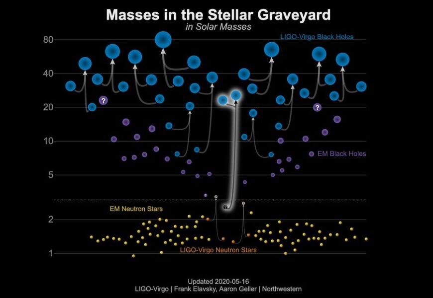 masses of known black holes and neutron stars