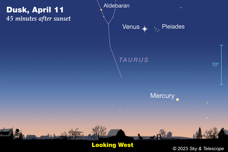 Mercury & Venus April 2023
