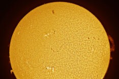 Mosaic With Giant Prominence  
