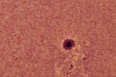 Multiwavelength image of sunspot  