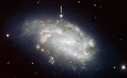 NGC 1559 with supernova 2005df