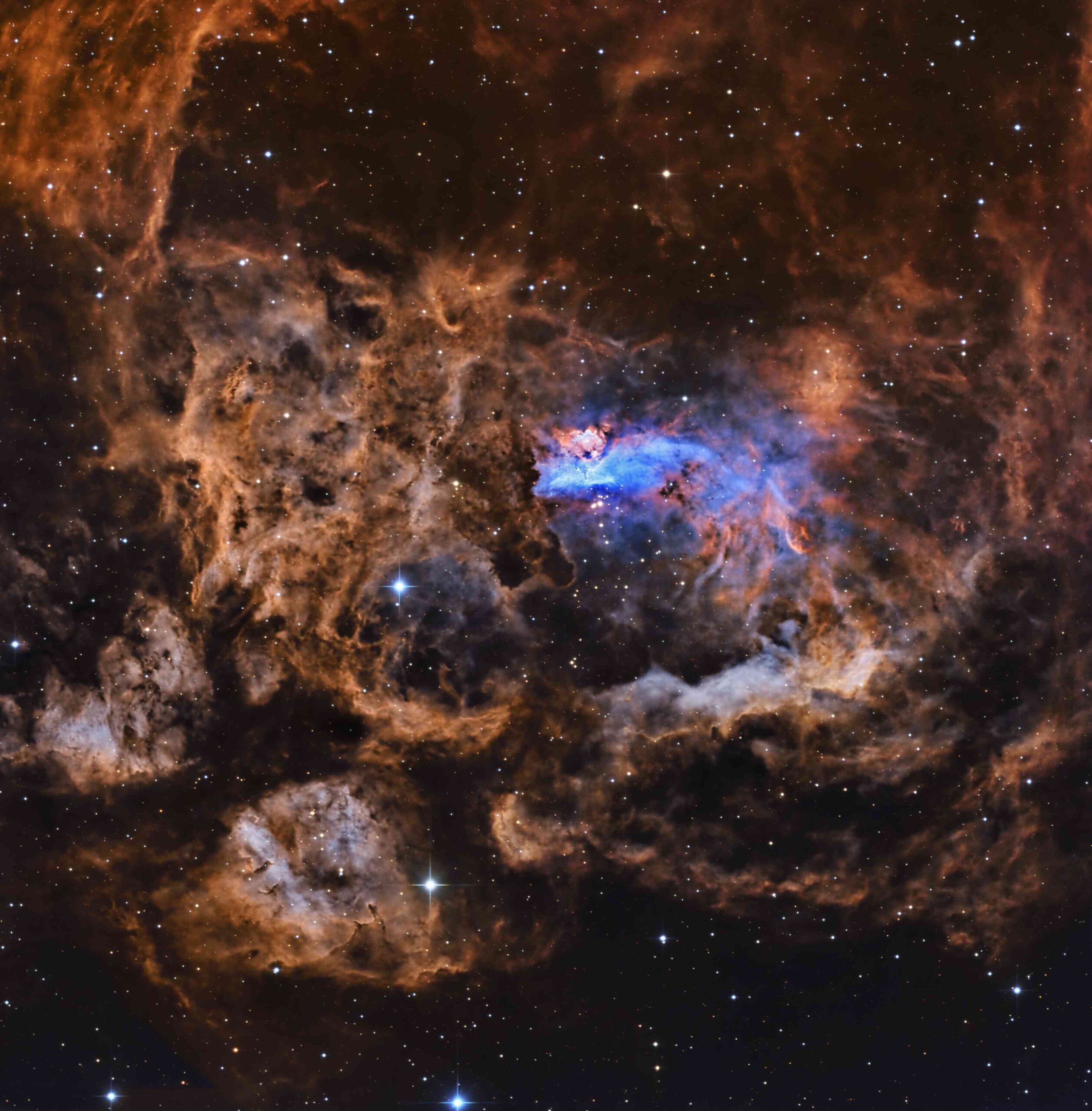 NGC 6357 Pismis 24 Inside the Lobster Nebula - Sky & Telescope - Sky ...