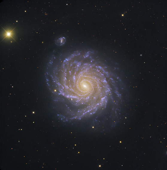 NGC 1232