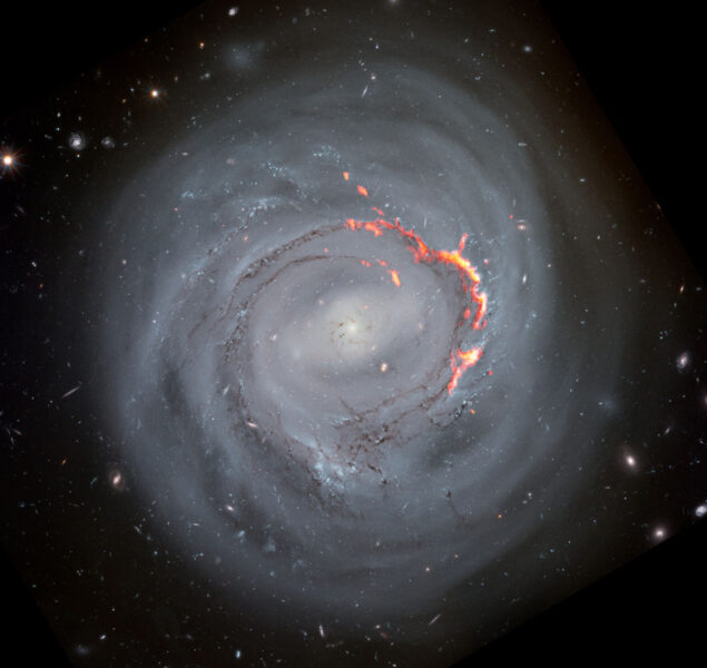 Barred spiral galaxy NGC 4921