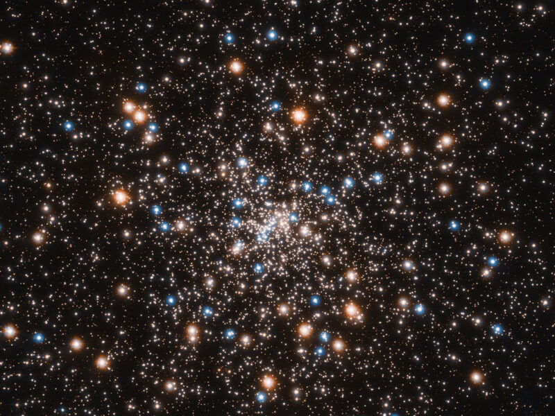 NGC 6397 hides a cluster of black holes