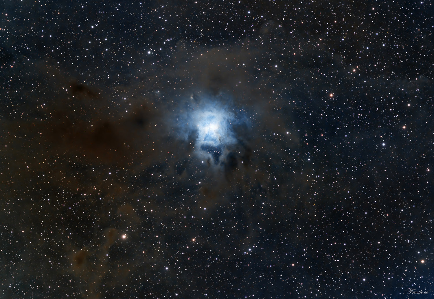 NGC 7023 - Iris Nebula - Sky & Telescope - Sky & Telescope