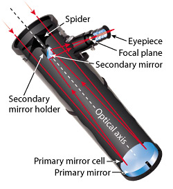 Newtonian reflector telescope anatomy