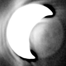 Venus's Surface