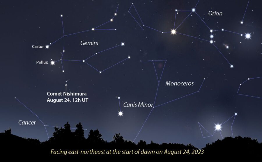 Comet Nishimura August 24