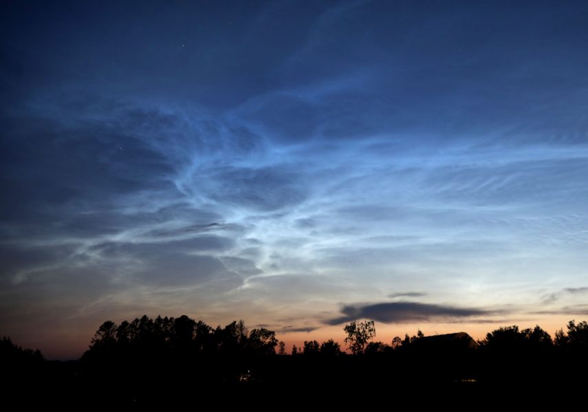 blue noctilucent clouds hover over trees and a pink sunset