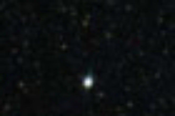 New nova in Sagittarius