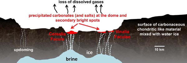 Cross-section of Occator crater