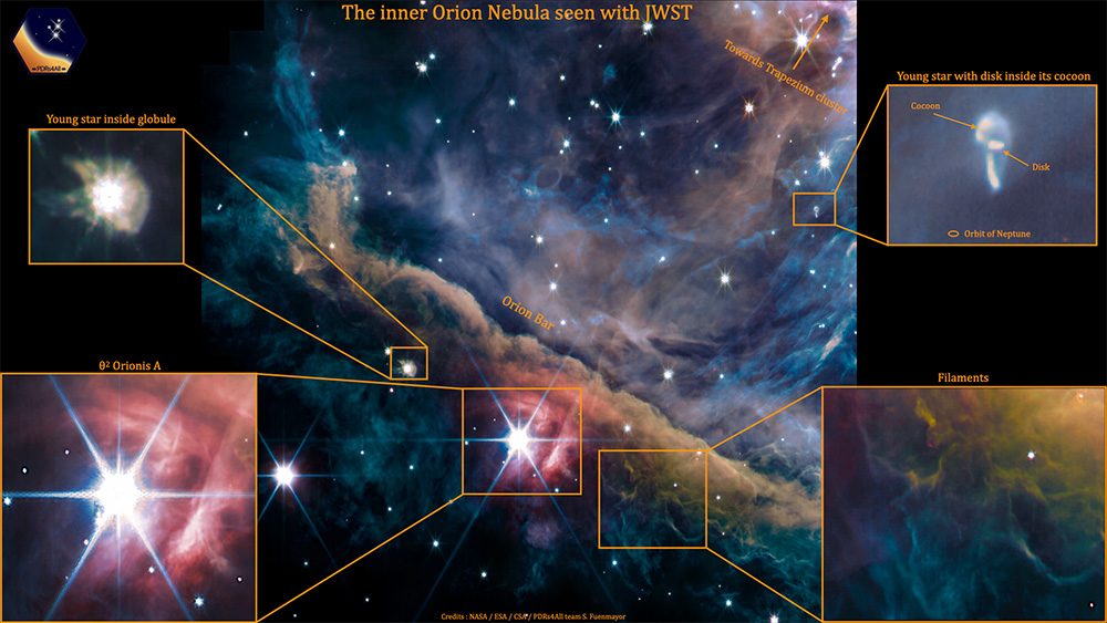 Details in Webb's image of Orion