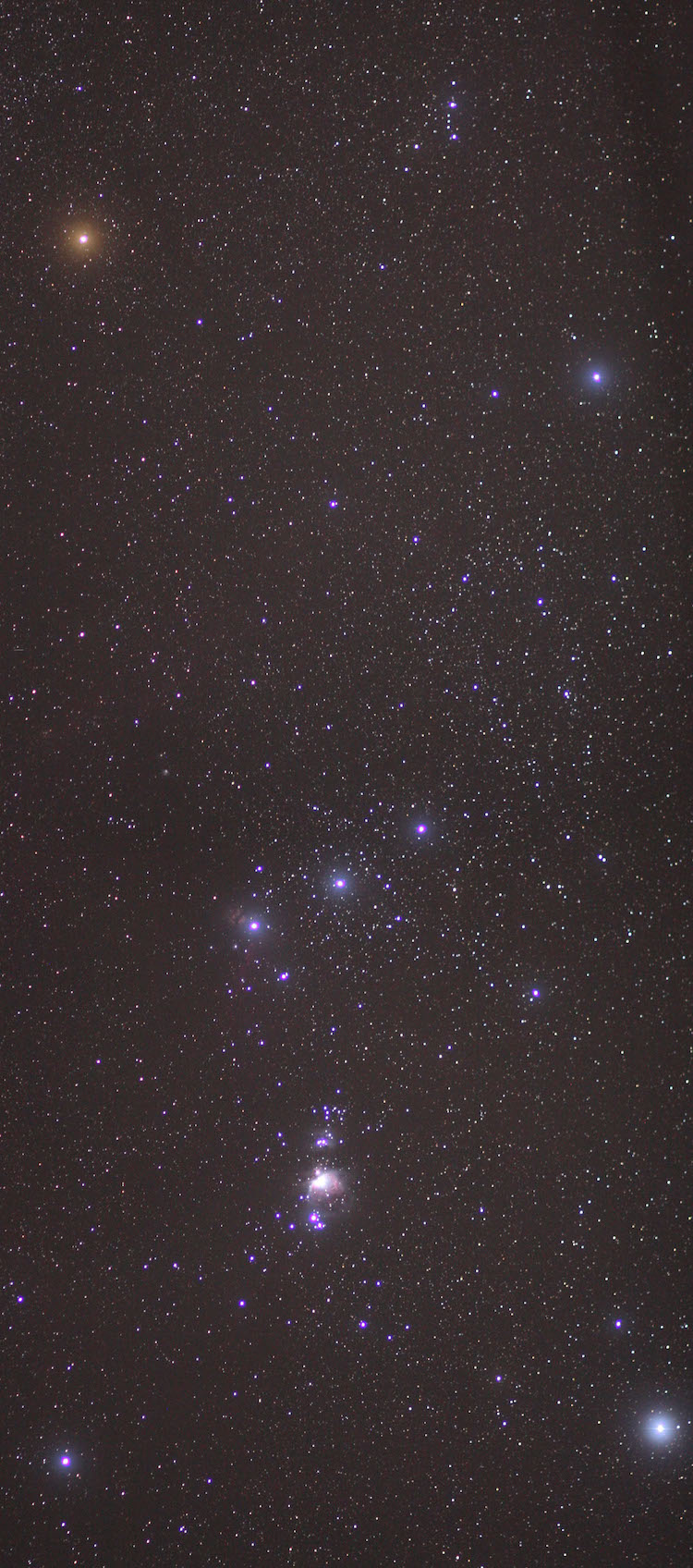 Orion