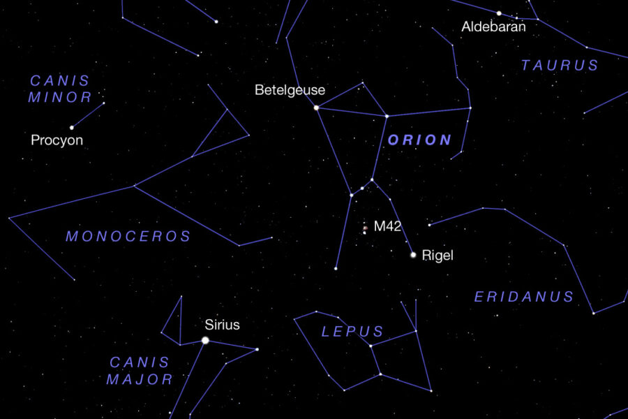 Orion's neighborhood