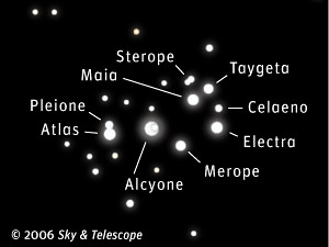 Stars of the Pleiades