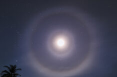 Portrait of a Busy Sky