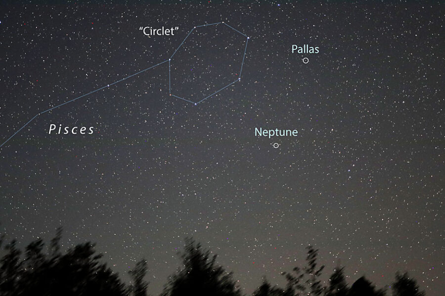 Pallas and Neptune time exposure