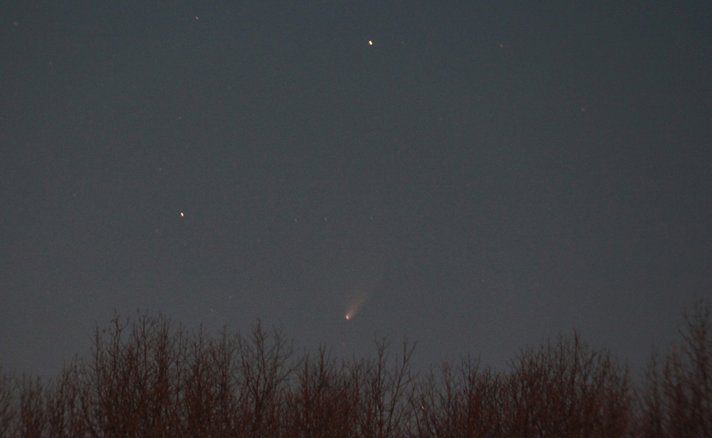 Comet Pan-STARRS March 26, 2013 | Victor C. Rogus - Sky & Telescope ...