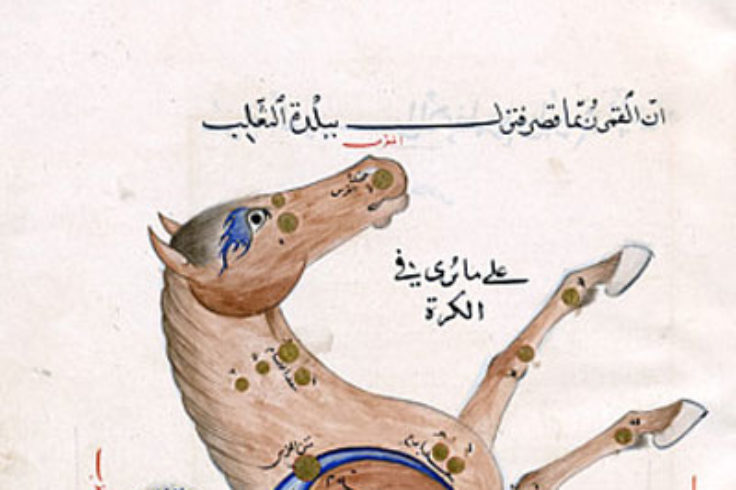 Persian illustration of Pegasus constellation
